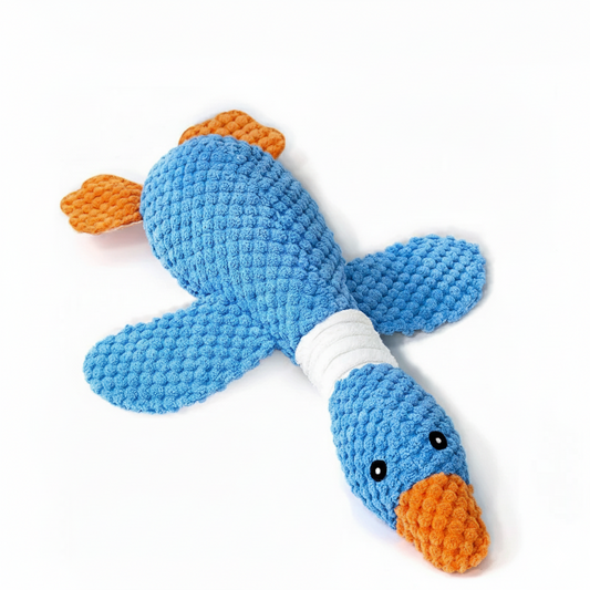 Jouet Robuste ! Canard Bleu